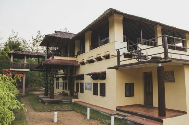 Stay Near Untouched Forest