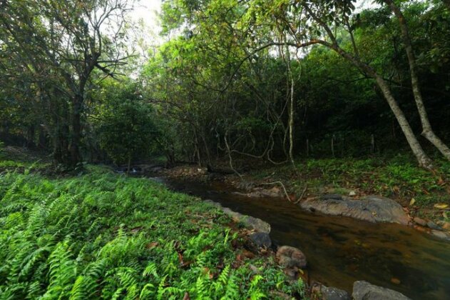 Abad Brookside Wayanad - Photo2