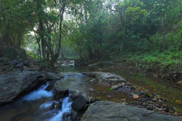Abad Brookside Wayanad - Photo3