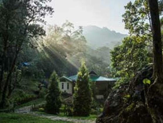 Green Magic Resort - Photo5