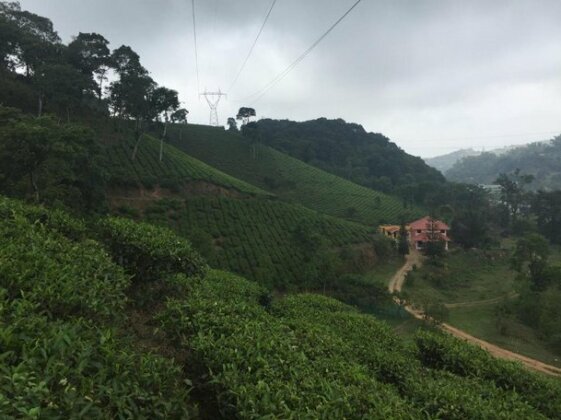 Tea Trees Service Villas