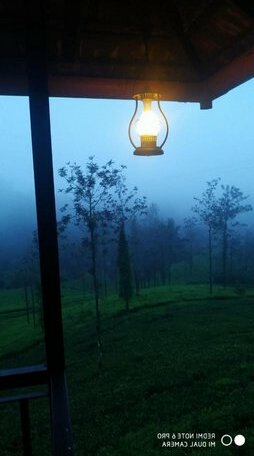 Vythiri Tea Garden Retreat - Photo3