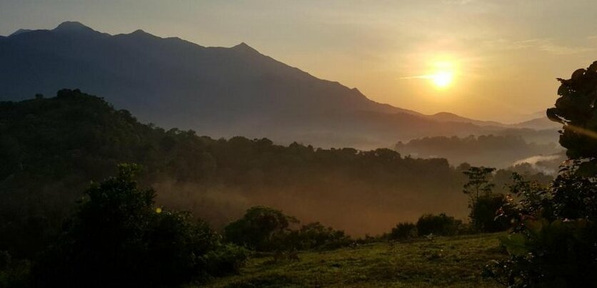 Wayanad Mount Home Stay - Photo5