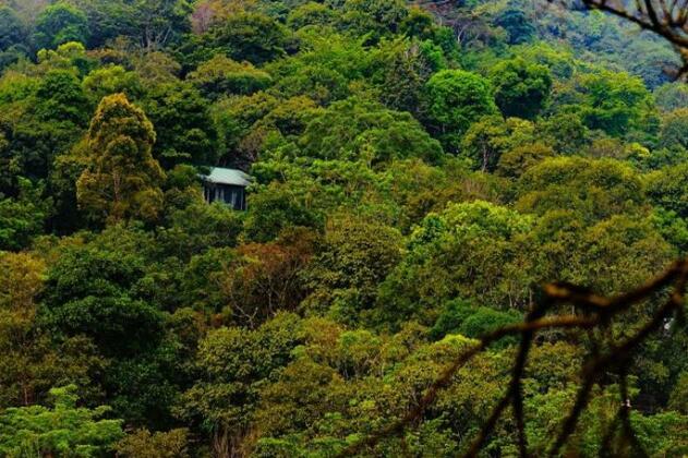 Wayanad Wild - CGH Earth - Photo5