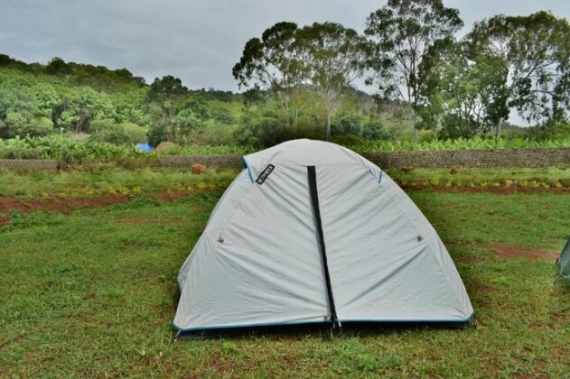 Farm Tent and Camp - Photo5