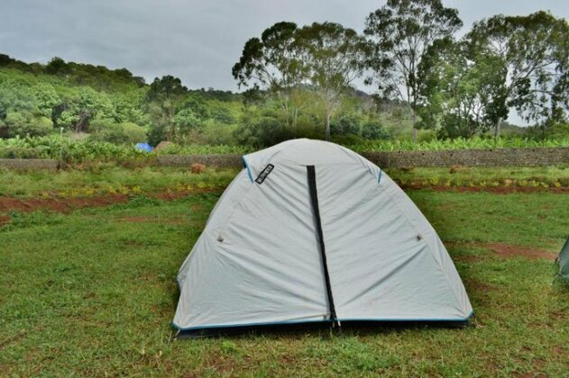 Farm Tent and Camp - Photo5