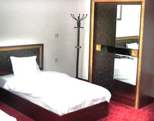 Jiger Palace Hotel - Photo5