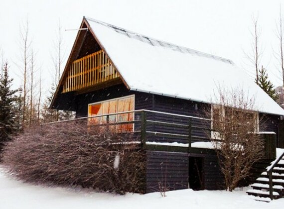 Icestay Cabins - Photo2