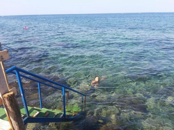 B&B Sea Terrace - Photo3