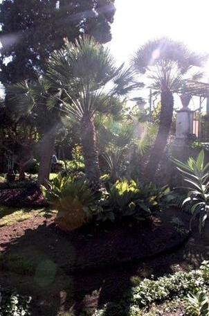 Villa Manasse - Photo2