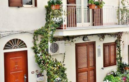 B&B Tranquillo