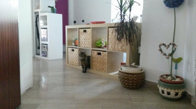 Bed & Breakfast My Home - Photo3