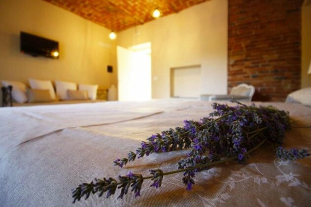 Cascina Bellonuovo - Photo4