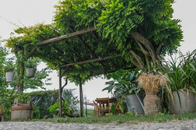 Il Germano Reale - Photo3