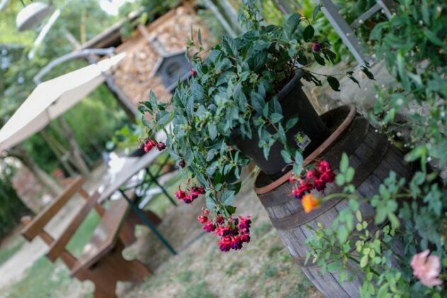 Il Germano Reale - Photo4