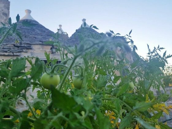 Trulli da Favola - Photo5