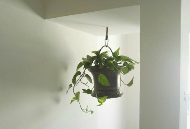 B&B La Maiolica - Photo4