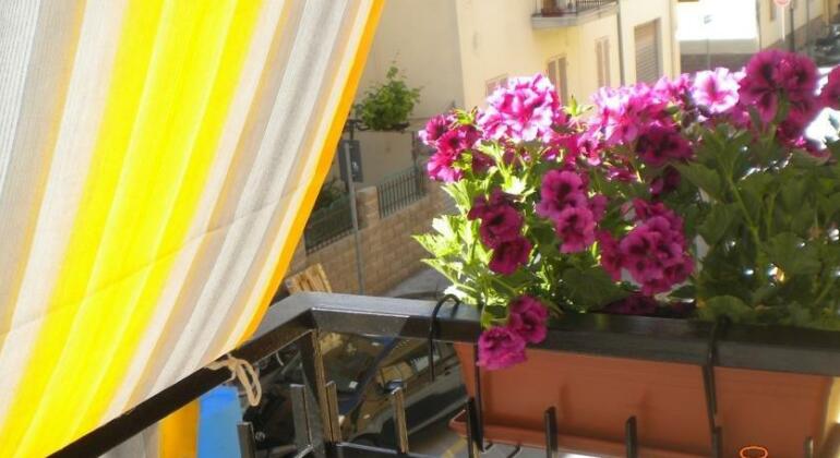 B&B Blue Wave - Photo3