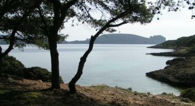 B&B Istentales Alghero&nbsp;- Photo5