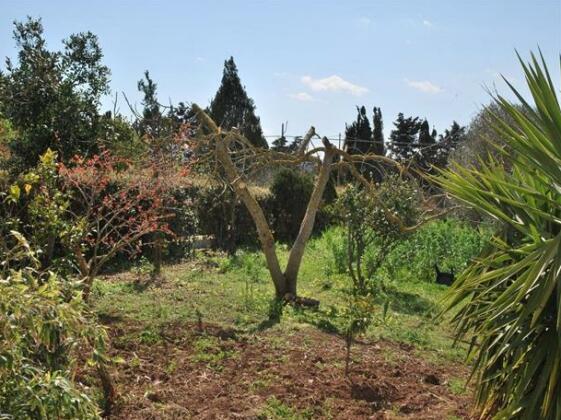 Country House Davide - Photo5