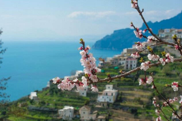 Casa Pina Amalfi - Photo4