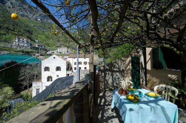 Lemon Garden Amalfi