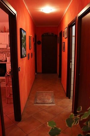 Bed and breakfast Agrumi in terrazza - Photo3