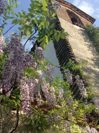 Tenuta La Campanella in fiore