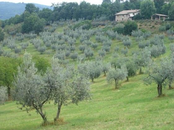 Fontevena - Photo4
