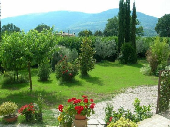 Vista Assisi - Photo5
