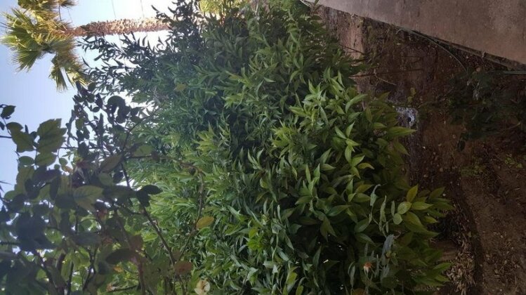 Home Antony - Photo5
