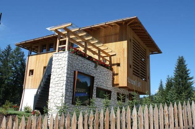 Chalet Mi Amur - Photo5