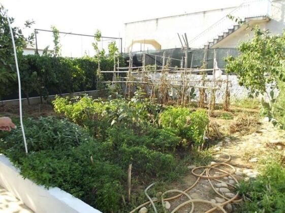 Villa Fina Balestrate - Photo5