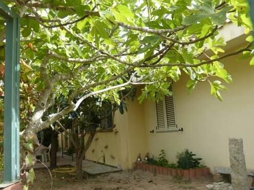 Casa Nespolo - Photo5