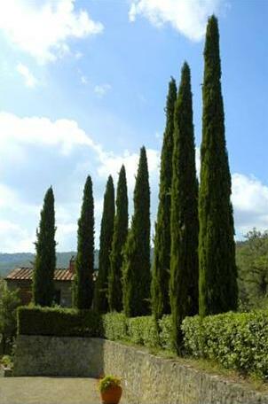 Agriturismo Podere Asciana - Photo4