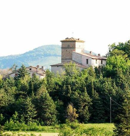 Torre d'Acquaviva - Photo2