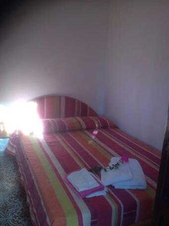 Poetto beach cottage - Photo4