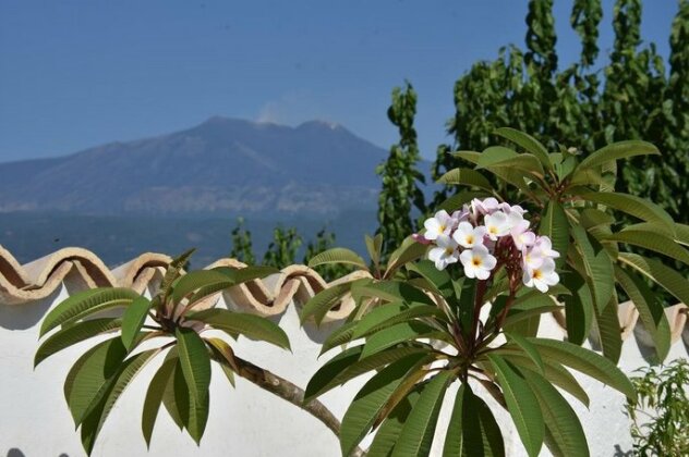Villa Fenice Calatabiano - Photo4