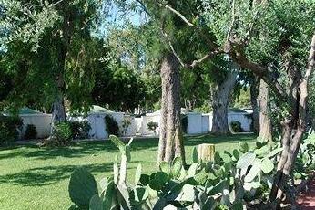 Villaggio Cala dei Normanni - Photo5