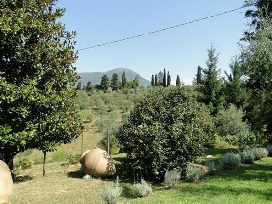 B&B Il Cerro - Photo4