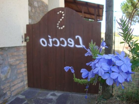 Agriturismo Podere Selvette - Photo2