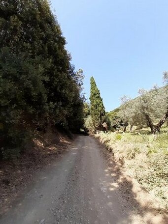 Podere Barlo - Photo3