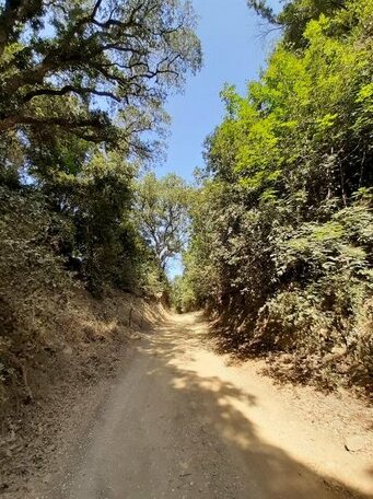 Podere Barlo - Photo4