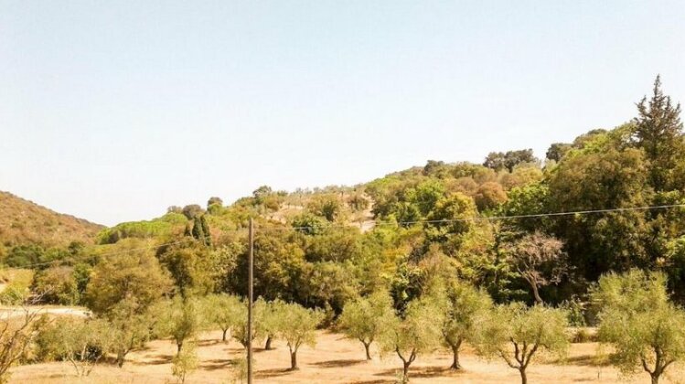 Podere Barlo - Photo5