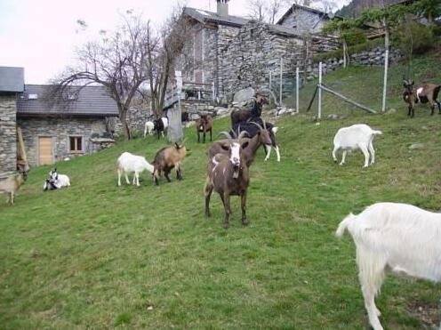 Agriturismo Da Attilio - Photo3