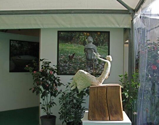 Casa Carlotta Capannori - Photo3