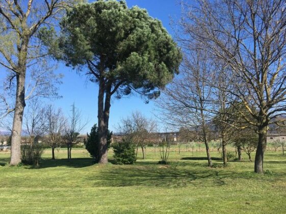 La casina di Verciano - Photo4