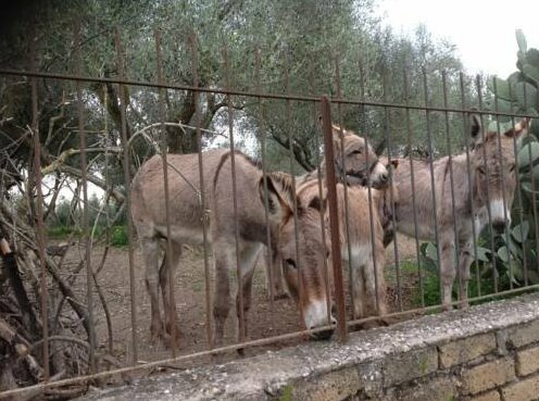 Le Terre Di Adamo - Photo4