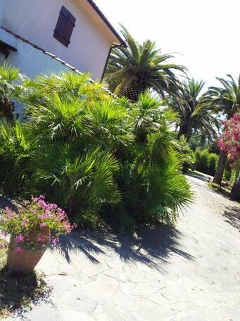 Le Palme Capoliveri - Photo2