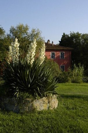 Casa Elisabetta Capraia e Limite - Photo2